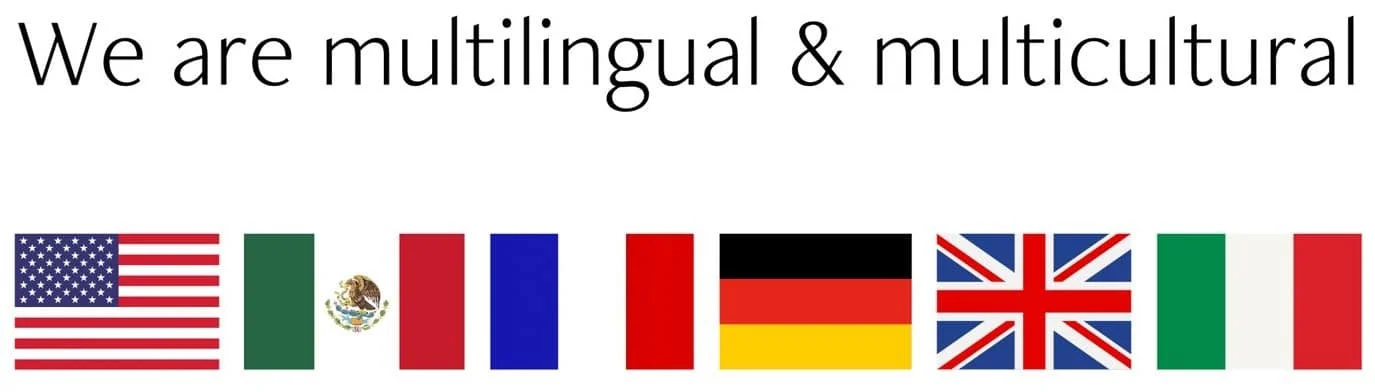 Multilingual Section