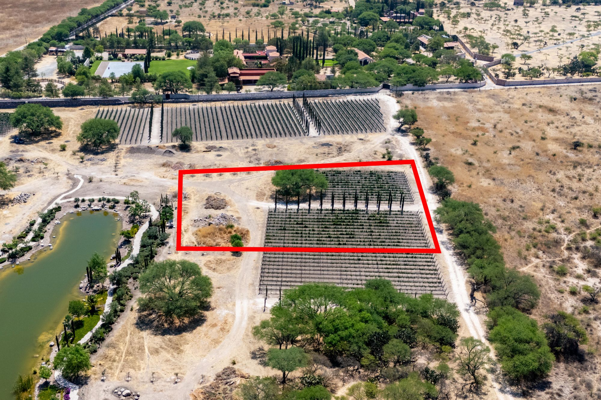 Viñedos Patria Finca 8